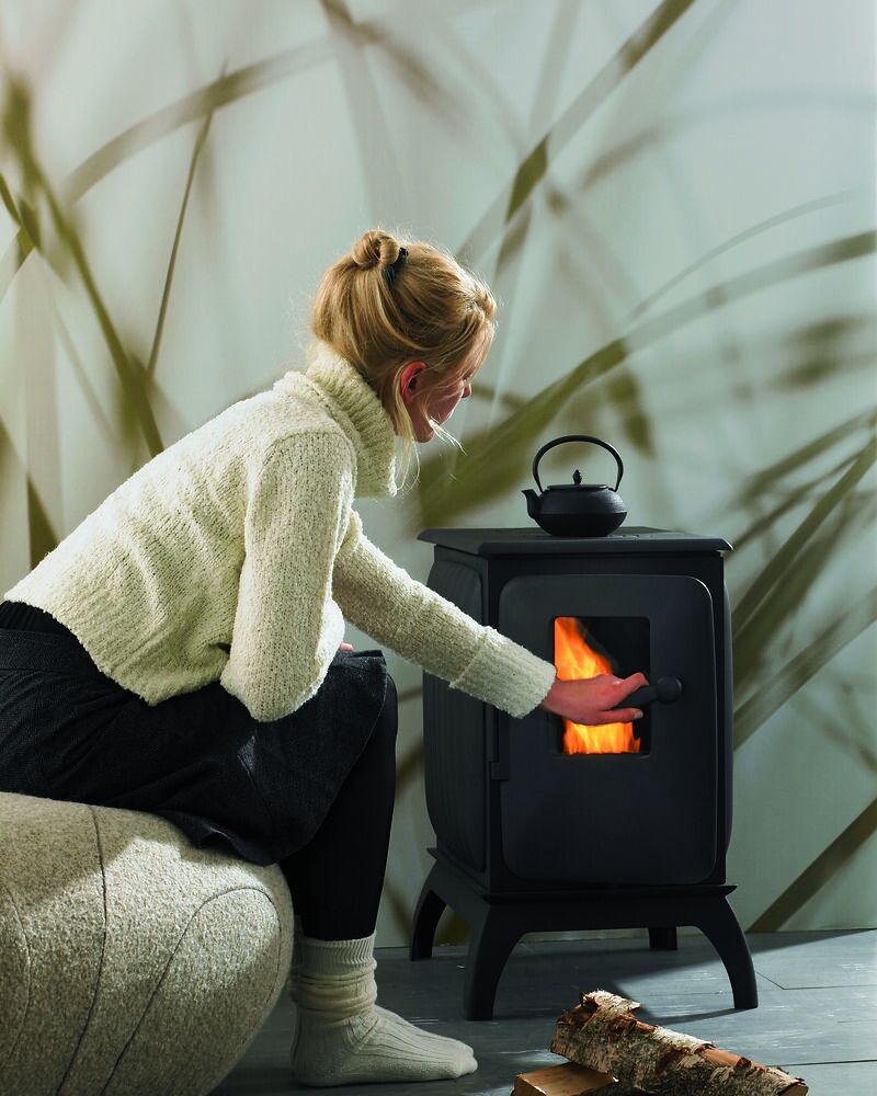 BRUNNER Kaminofen Iron Dog 012