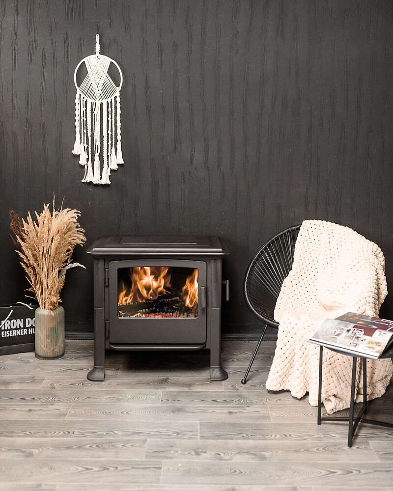 BRUNNER Kaminofen Iron Dog 4